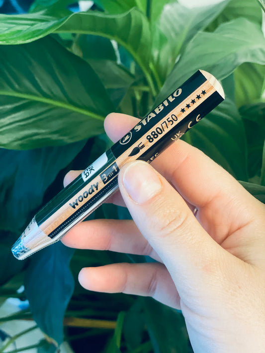 🖍 crayon WOODY noir